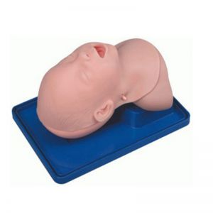 Advanced infant head for trachea intubation model